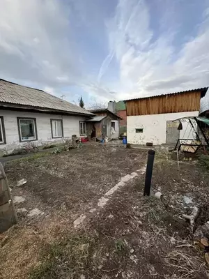 Фото к объявлению #20317849