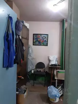 Фото к объявлению #22255868