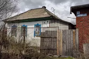 Фото к объявлению #22170427