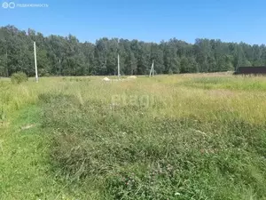 Фото к объявлению #21991454