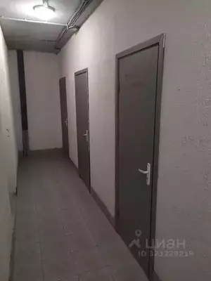 Фото к объявлению #22206073