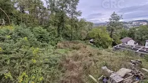 Фото к объявлению #22263345