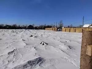 Фото к объявлению #21987486