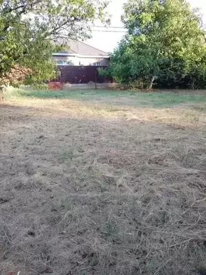 Фото к объявлению #22202469