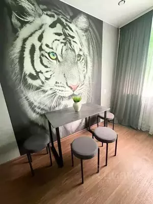 Фото к объявлению #20380209