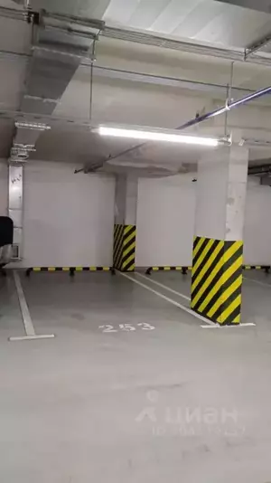 Фото к объявлению #22101918