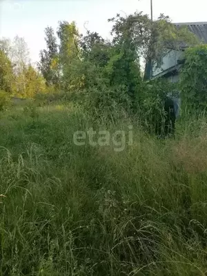 Фото к объявлению #20159673