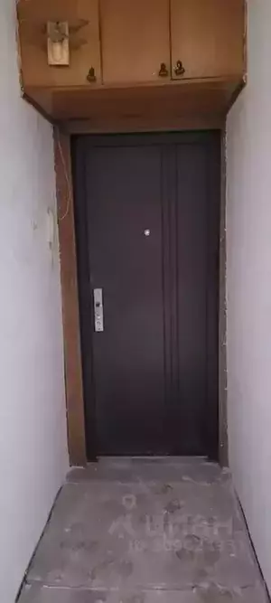 Фото к объявлению #21477767