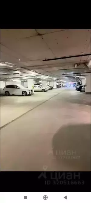 Фото к объявлению #22118096