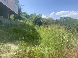 Фото к объявлению #20792537