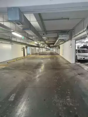 Фото к объявлению #22104348