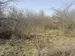 Фото к объявлению #