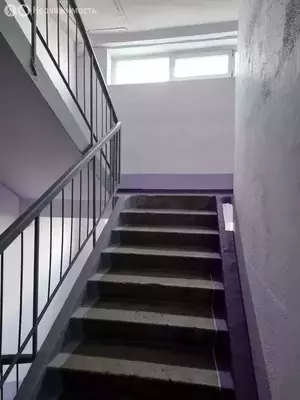 Фото к объявлению #21038126