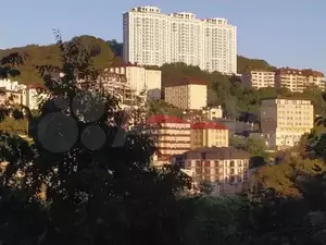 Фото к объявлению #20546053