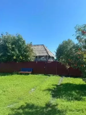 Фото к объявлению #20926653