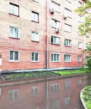 Фото к объявлению #20981022