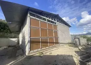 Фото к объявлению #22289445