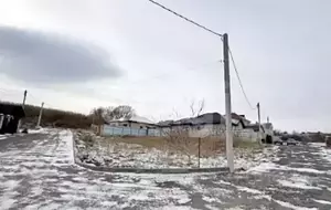 Фото к объявлению #22240879