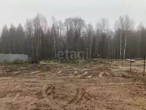 Фото к объявлению #22208877