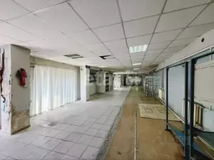 Фото к объявлению #22285247