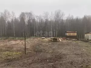 Фото к объявлению #22212195