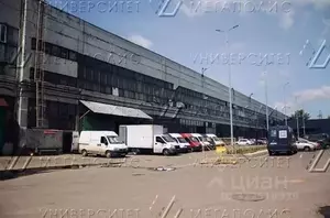 Фото к объявлению #22185524