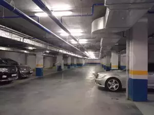 Фото к объявлению #20519867