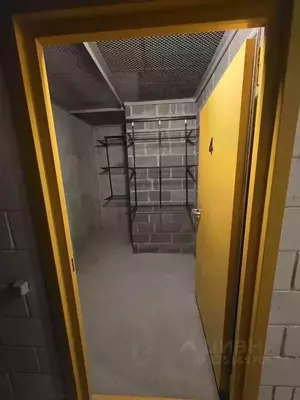 Фото к объявлению #22230804