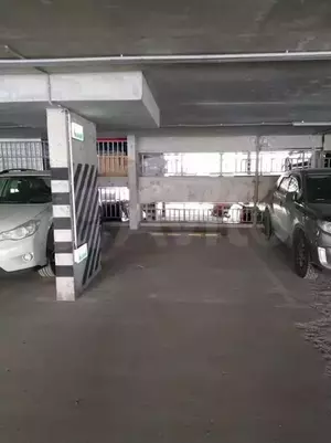 Фото к объявлению #20547212