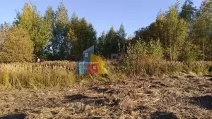 Фото к объявлению #22252212