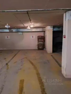 Фото к объявлению #22288669