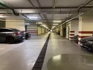 Фото к объявлению #20456164