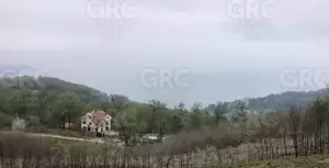 Фото к объявлению #22043573