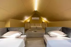 Фото к объявлению #21529671