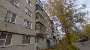 Фото к объявлению #21558292