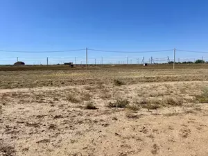 Фото к объявлению #22156150