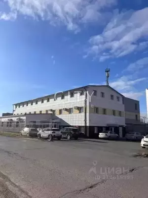 Фото к объявлению #22216415