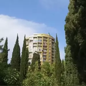 Фото к объявлению #22232184