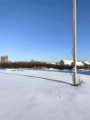 Фото к объявлению #22285665