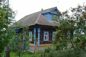 Фото к объявлению #21638770