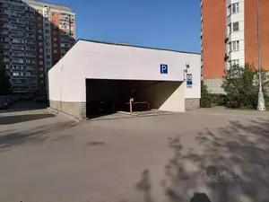 Фото к объявлению #22087871