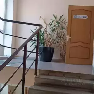 Фото к объявлению #22280221