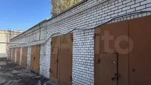 Фото к объявлению #21773608