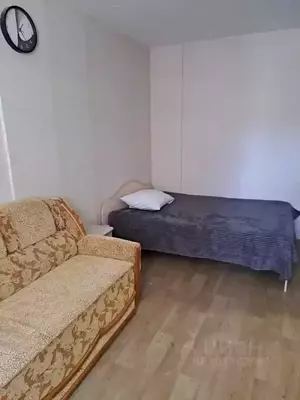 Фото к объявлению #21044045