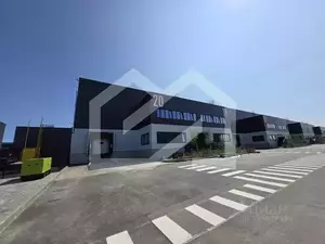 Фото к объявлению #22258019