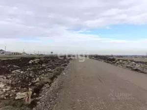 Фото к объявлению #22231810