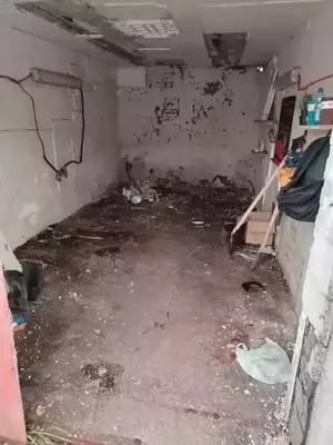 Фото к объявлению #22123169