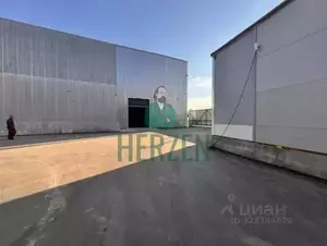 Фото к объявлению #22194106