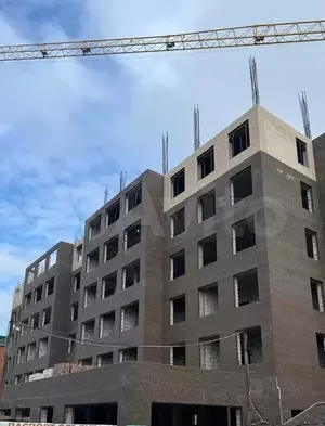 Фото к объявлению #21824188