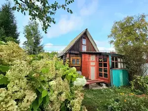 Фото к объявлению #22212961